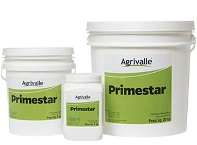 Primestar