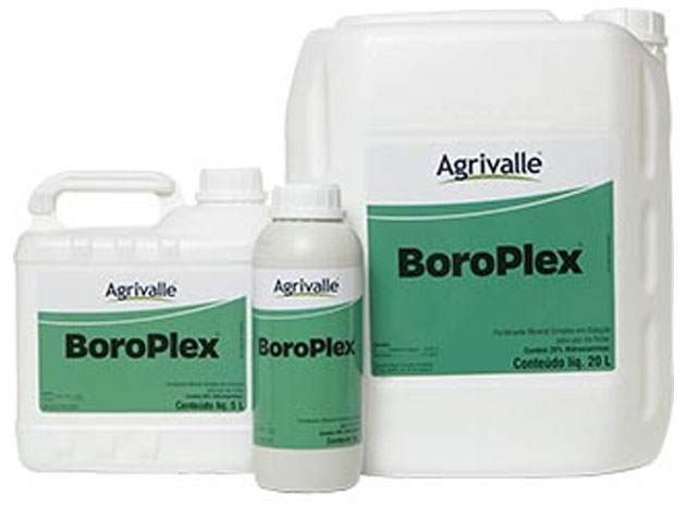 Boroplex